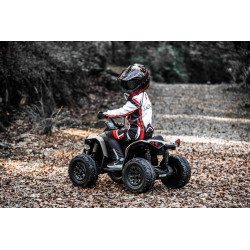 Elektrická štvorkolka Can-am Renegade,  kaki