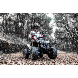 Elektrická štvorkolka Can-am Renegade,  kaki