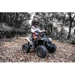 Elektrická štvorkolka Can-am Renegade,  kaki
