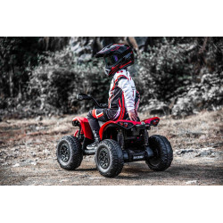 Elektrická štvorkolka Can-am Renegade,  červená