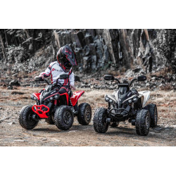 Elektrická štvorkolka Can-am Renegade,  červená