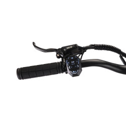 Elektrická koloběžka Teverun Blade Mini Pro 2×500W 48V 20,8Ah černá